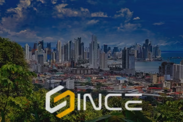Estrategias marketing digital Panamá sectores logística turismo finanzas bienes raíces